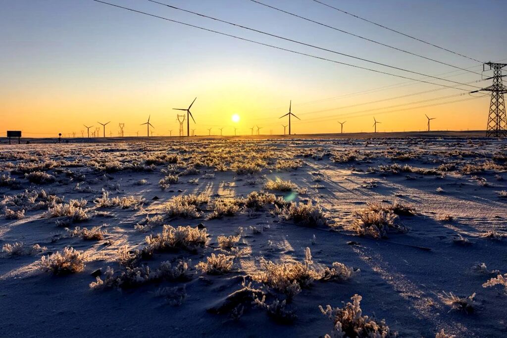 1773022960412696.jpg 微信图片_2026-03-09_102132_317.jpg